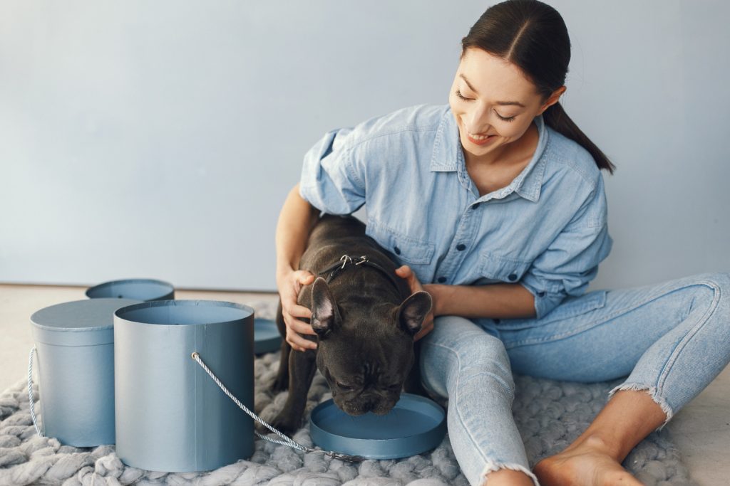 Dryer Techniques to Capture Remaining Cat and Dog Hair