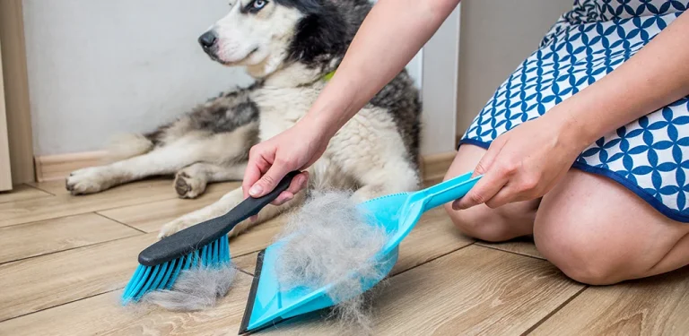 How To Get Dog Hair Out Of Clothes?