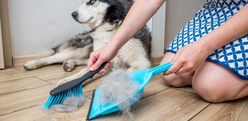 How To Get Dog Hair Out Of Clothes