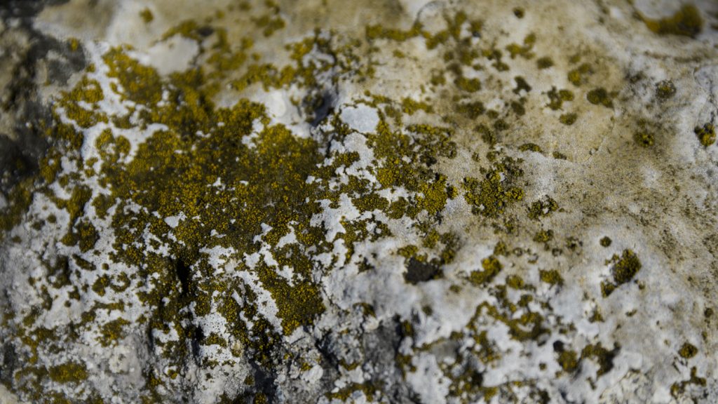 Oxygen Bleach For Stubborn Smells