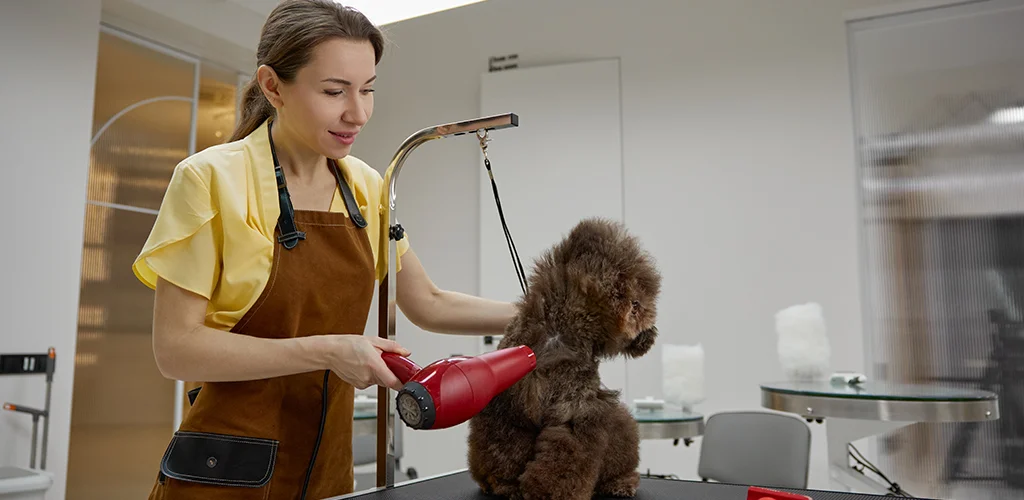 Laundry Services for Pet Groomers