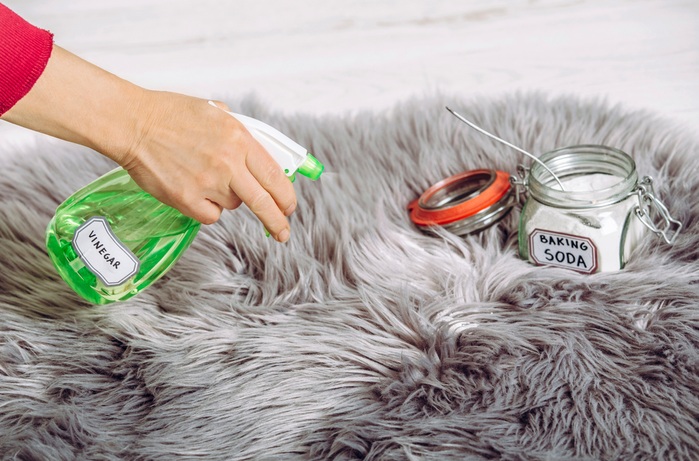 vinegar carpet cleaning solution